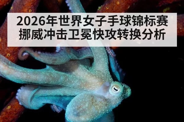 2026年世界女子手球锦标赛挪威冲击卫冕快攻转换分析